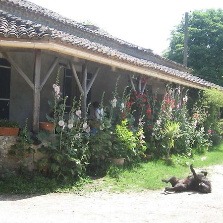 Chambres D'Hotes Le Chintre Queyssel ภายนอก รูปภาพ